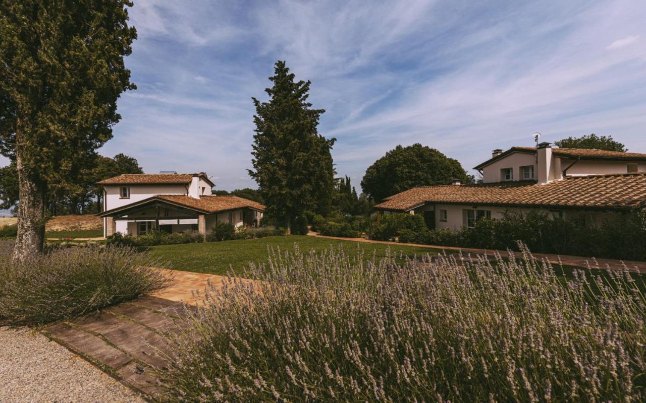 Borgo Le Colline Luxury Agriturismo In Tuscany 감바시 외부 사진